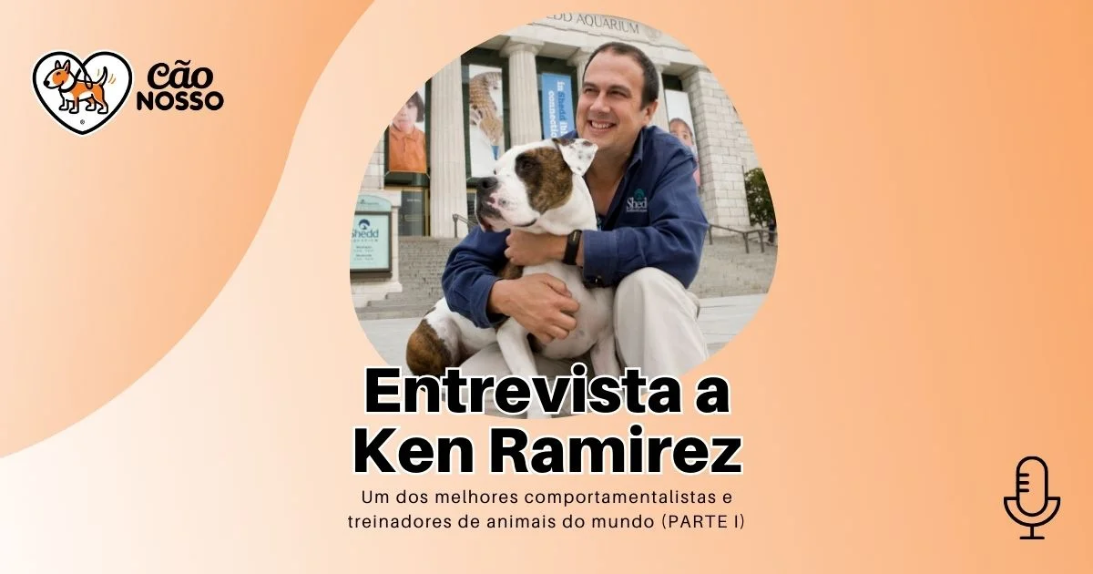 Ken veterinario discount